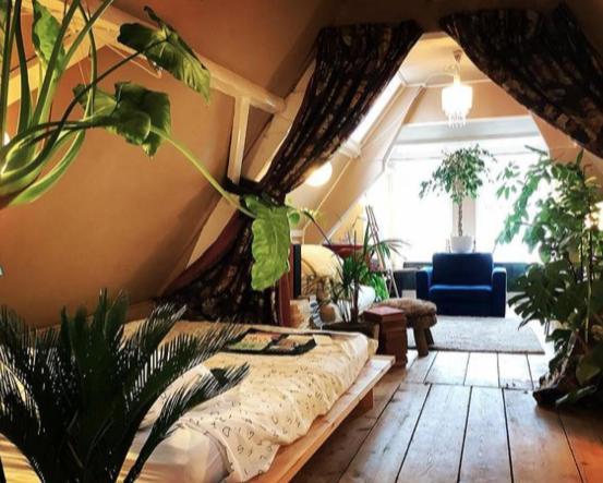 Bookstor Hotel Haga Zewnętrze zdjęcie
